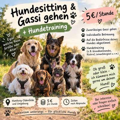 Hundetreffen-Gassi gehen & training  🐶-Bild