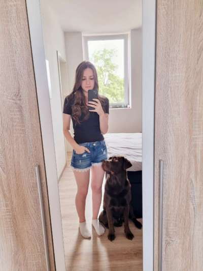 Hundetreffen-Neu in Petersaurach-Bild
