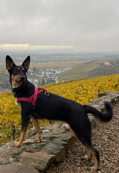 Fotochallenge Nr. 67: Euer Lieblingsbild-Beitrag-Bild