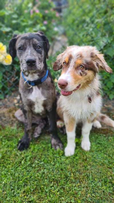 Sie werden so schnell erwachsen ...-Beitrag-Bild