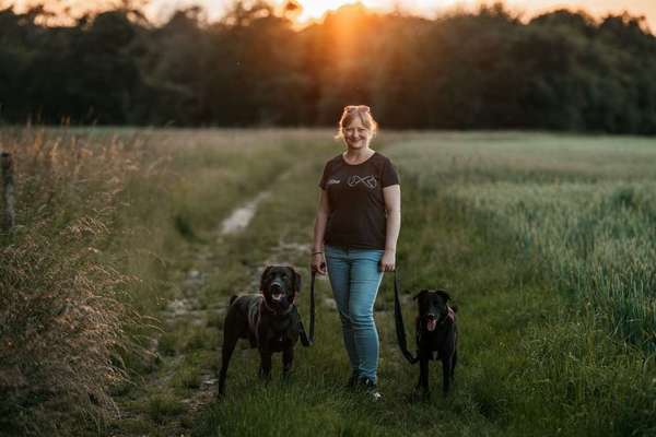 Hundeschulen-Team Chance Hundeverhaltensberatung-Bild