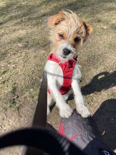 Foto Challenge Nr. 79-Beitrag-Bild