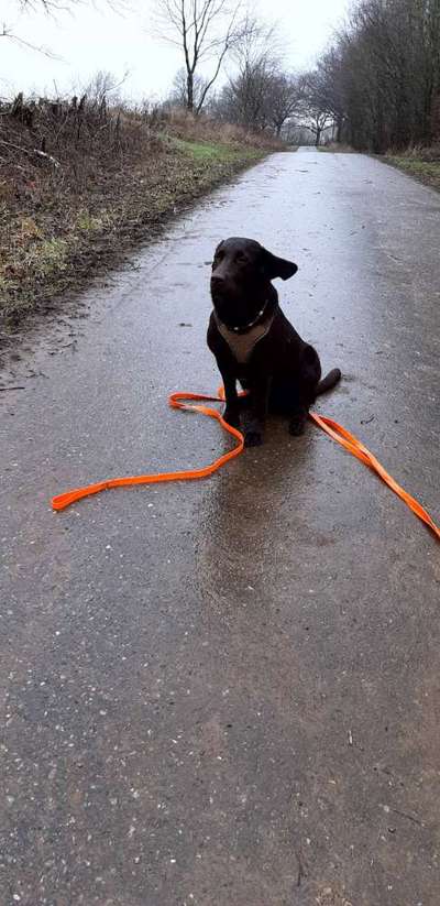 Fotochallenge Nr 50 Vom Winde verweht-Beitrag-Bild