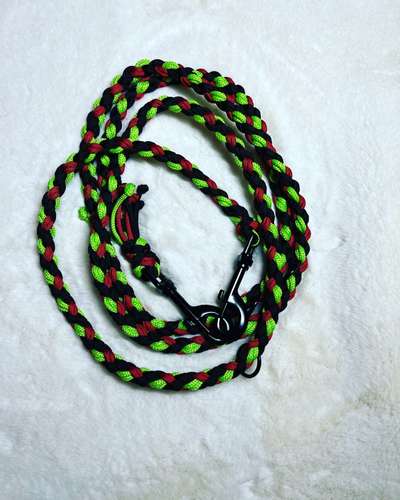 %{de_profession_title}-Verschiedene Halsbänder und Leinen-Bild