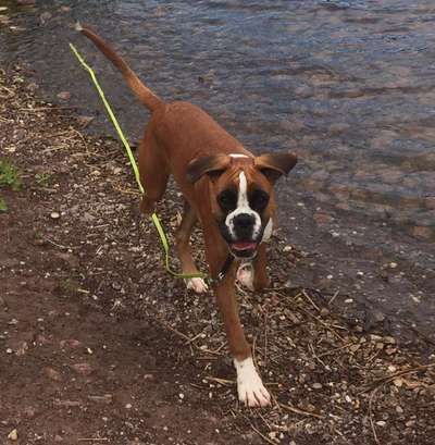 Immer lächeln !-Beitrag-Bild