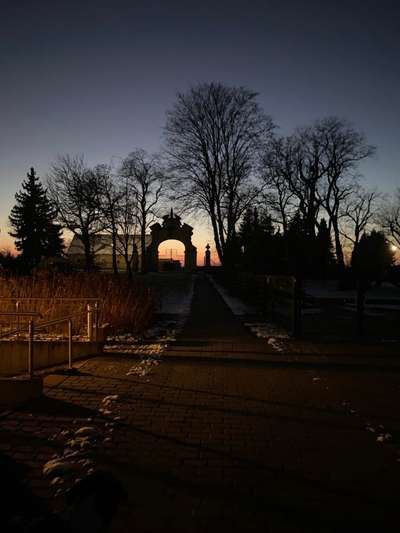 Die wunderschöne Welt mit Hund.-Beitrag-Bild