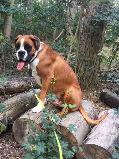 Immer lächeln !-Beitrag-Bild