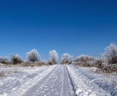 Die wunderschöne Welt mit Hund.-Beitrag-Bild