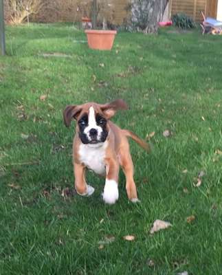 Vorher.... Nachher-Beitrag-Bild