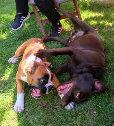 Fotochallange Nr. 6 Die irrsten Blicke-Beitrag-Bild