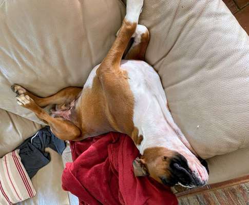 Die unbequemsten und lustigsten Schlafpositionen-Beitrag-Bild