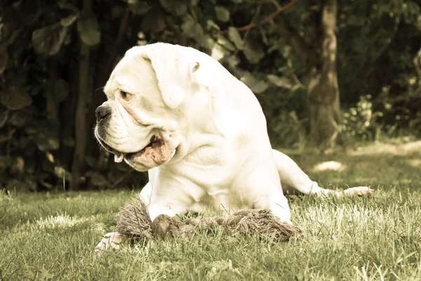 Immer lächeln !-Beitrag-Bild