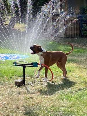 Vorher.... Nachher-Beitrag-Bild