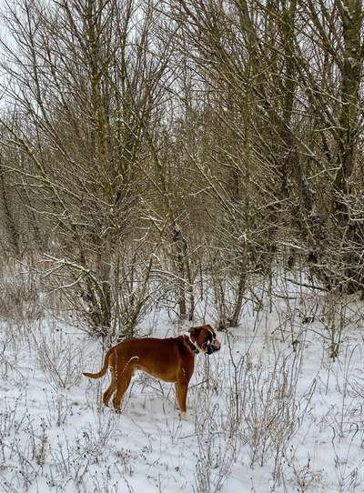 Vorher.... Nachher-Beitrag-Bild