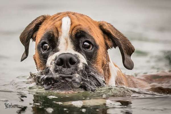 Foto Challenge - BEENDET - bitte aktuelle Challenge nutzen-Beitrag-Bild