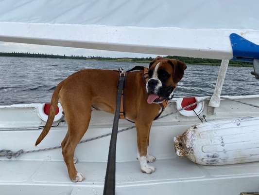 CHALLENGE NR. 18 - ON TOUR-Beitrag-Bild