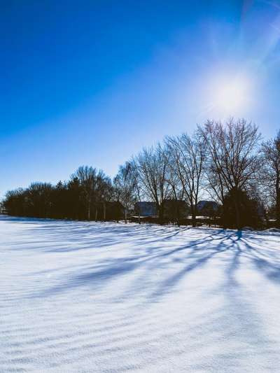 Die wunderschöne Welt mit Hund.-Beitrag-Bild