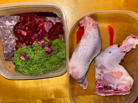 Zeigt eure Näpfe-Beitrag-Bild