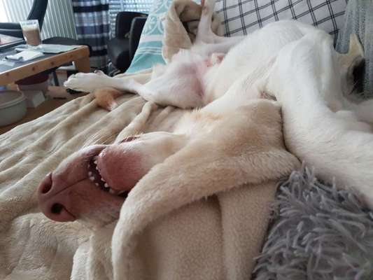 Die unbequemsten und lustigsten Schlafpositionen-Beitrag-Bild