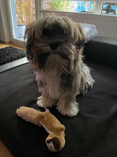 eure Spitznamen für die Vierbeiner-Beitrag-Bild