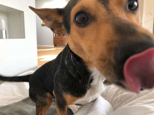 Fotochallange Nr. 57     PORTRÄT.   Beendet!!!!!!!!-Beitrag-Bild