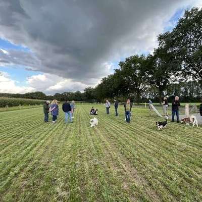 Hundeauslaufgebiet-Hundewiese Stadtlohn-Bild