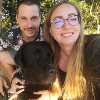 Hundetreffen-Treffen zum Spazieren und Spielen-Profilbild