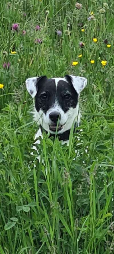 Fotochallange Nr. 57     PORTRÄT.   Beendet!!!!!!!!-Beitrag-Bild