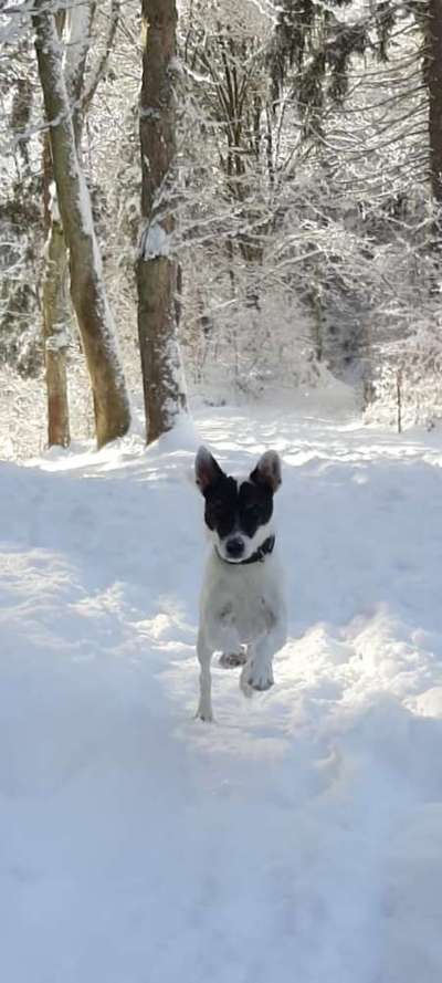 Dogorama Photo Challenge - Es wird nochmal kalt!-Beitrag-Bild