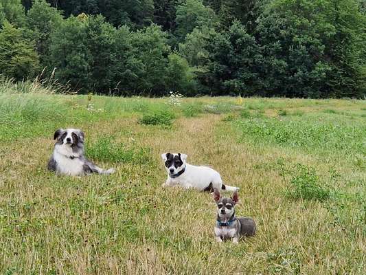 Handy-Foto-Challange Nr. 8-Beitrag-Bild