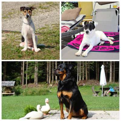 Lieblingsbild-Beitrag-Bild