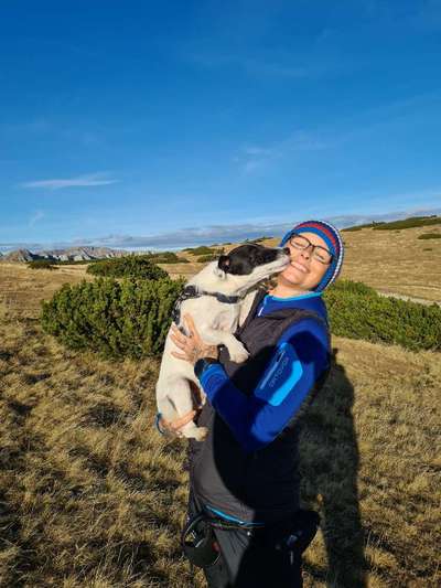 Hundmenschfotos-Beitrag-Bild