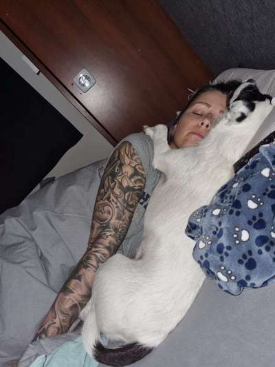 Gemeinsames Kuscheln im Bett!-Beitrag-Bild