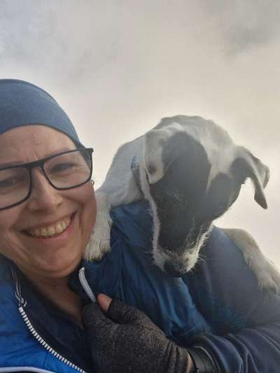 Dogorama Photo Challenge - Nebel-Beitrag-Bild