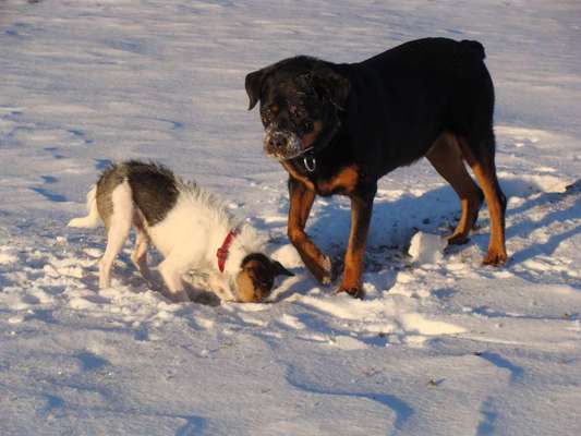 Fotochallenge Nr. 56 - geliebte Senioren-Beitrag-Bild