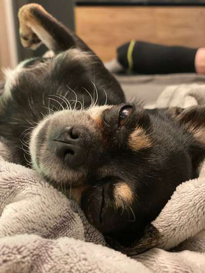 Fotochallange Nr. 57     PORTRÄT.   Beendet!!!!!!!!-Beitrag-Bild