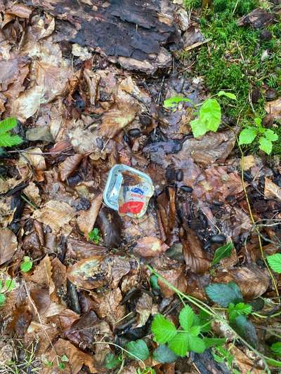 Giftköder-Vermutlich Giftköder-Bild