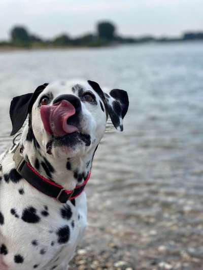 Foto Challenge - BEENDET - bitte aktuelle Challenge nutzen-Beitrag-Bild