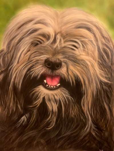 Hunde in Öl-Beitrag-Bild