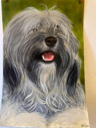 Hunde in Öl-Beitrag-Bild