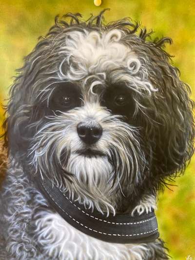 Hunde in Öl-Beitrag-Bild