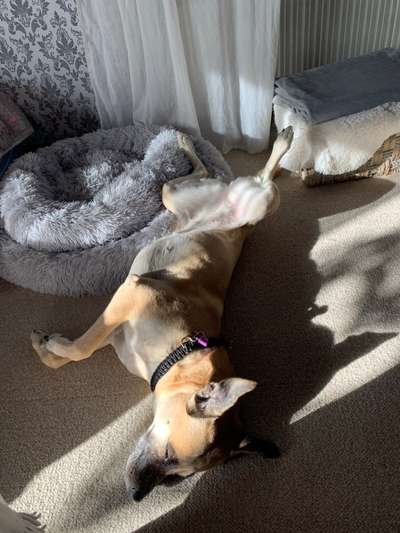 Die unbequemsten und lustigsten Schlafpositionen-Beitrag-Bild