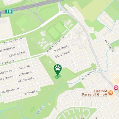 Hundetreffen-Gemeinsam Gassigehen, Kontakt mit Artgenossen-Bild