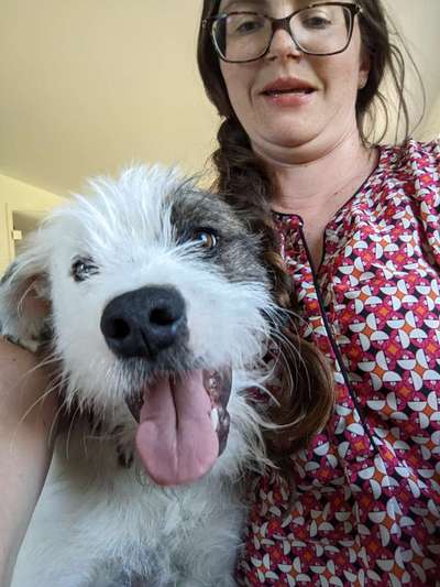 Auslandstierschutz-Beitrag-Bild