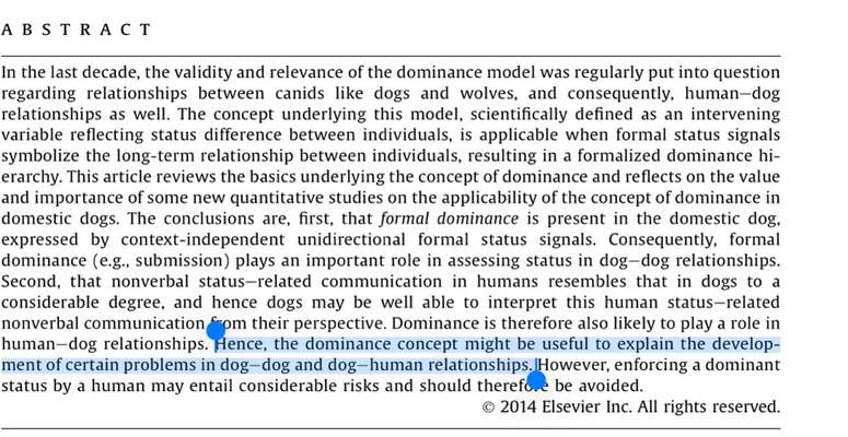 Schlafzimmer Nachts hundefreie Zone?-Beitrag-Bild