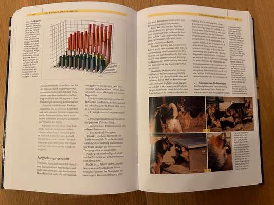 Schlafzimmer Nachts hundefreie Zone?-Beitrag-Bild