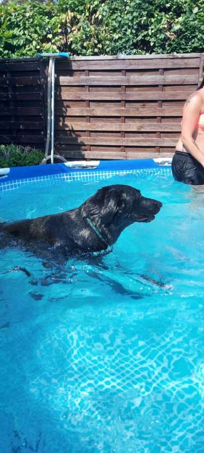 Zeigt eure schönsten Sommerbilder-Beitrag-Bild