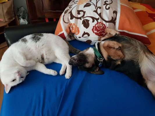 Die unbequemsten und lustigsten Schlafpositionen-Beitrag-Bild