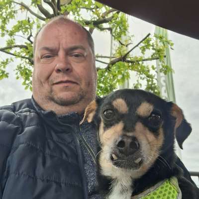 Hundetreffen-Gassi mal anders. Spaziergang mit Freilauf. Aber bitte nur mit Sozialverträglichen Hunden.-Profilbild