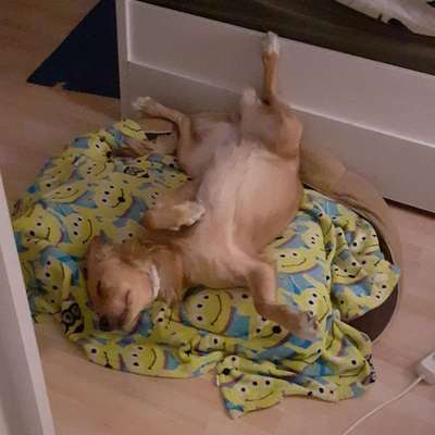 Die unbequemsten und lustigsten Schlafpositionen-Beitrag-Bild